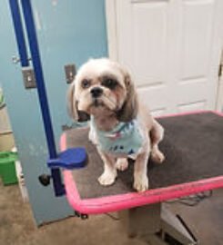Fluff & Stuff Kennel ★4.7