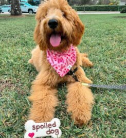 Woof Gang Bakery & Grooming East Liberty ★4.4
