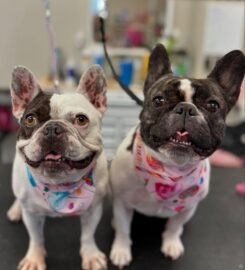 Woof Gang Bakery & Grooming East Liberty ★4.4