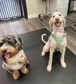 Woof Gang Bakery & Grooming East Liberty ★4.4